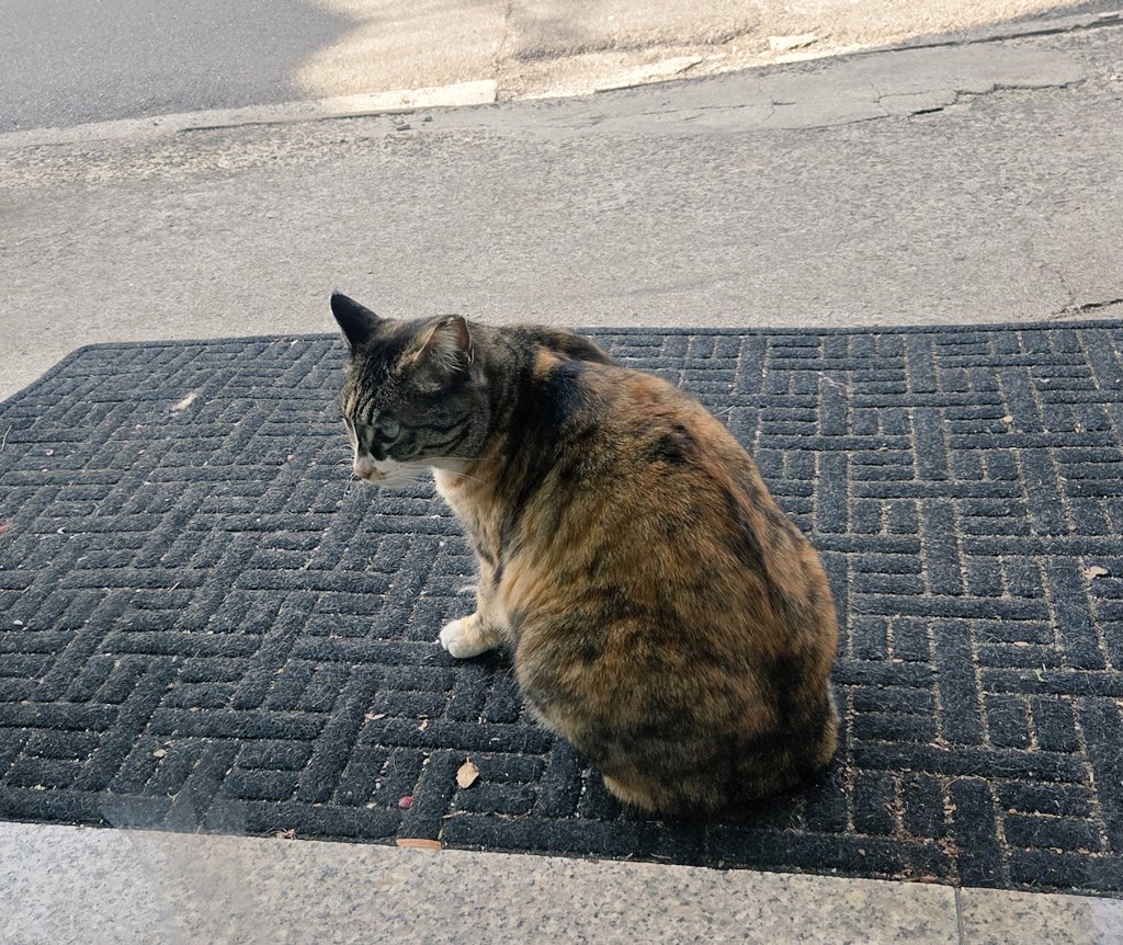 근🎨Geun tweet media