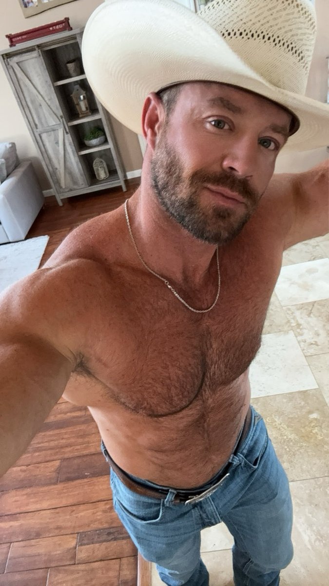 Trace Trainer tweet media