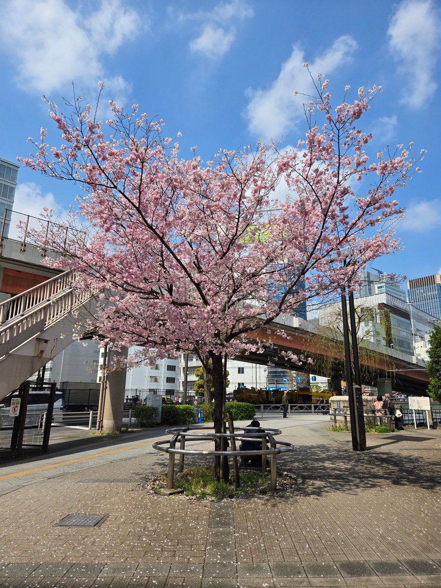 텟또(철도, 鉄道) tweet media