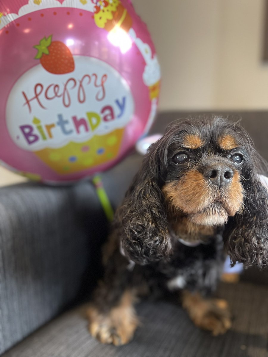 Poppy🇳🇿 tweet media