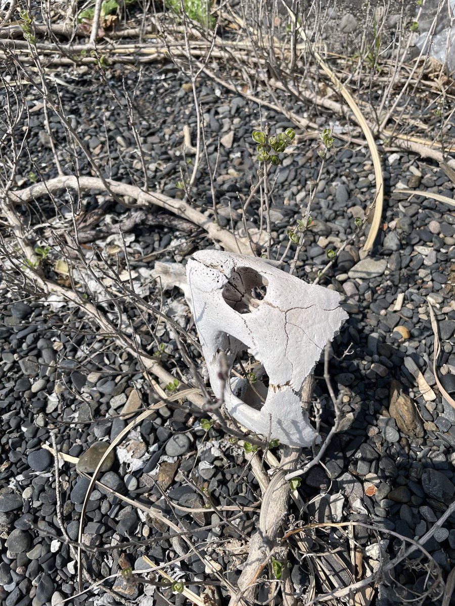 みさきラボ⭐️シーグラスワークショップ累計565人〜更新中 tweet media