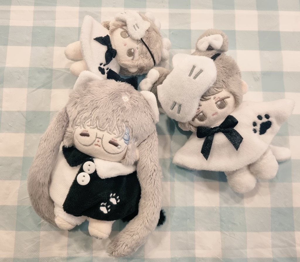 코튼플래닛 tweet media