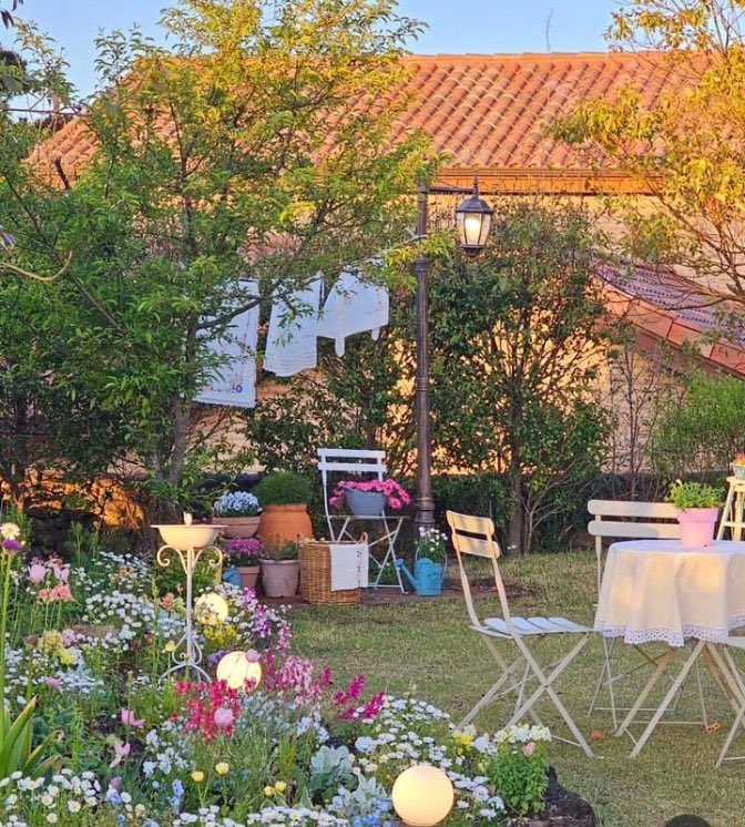 Fae°❀⋆. tweet media