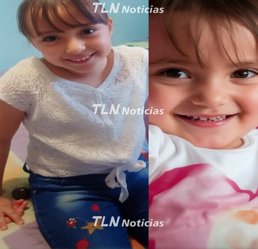 constanza luna tweet media