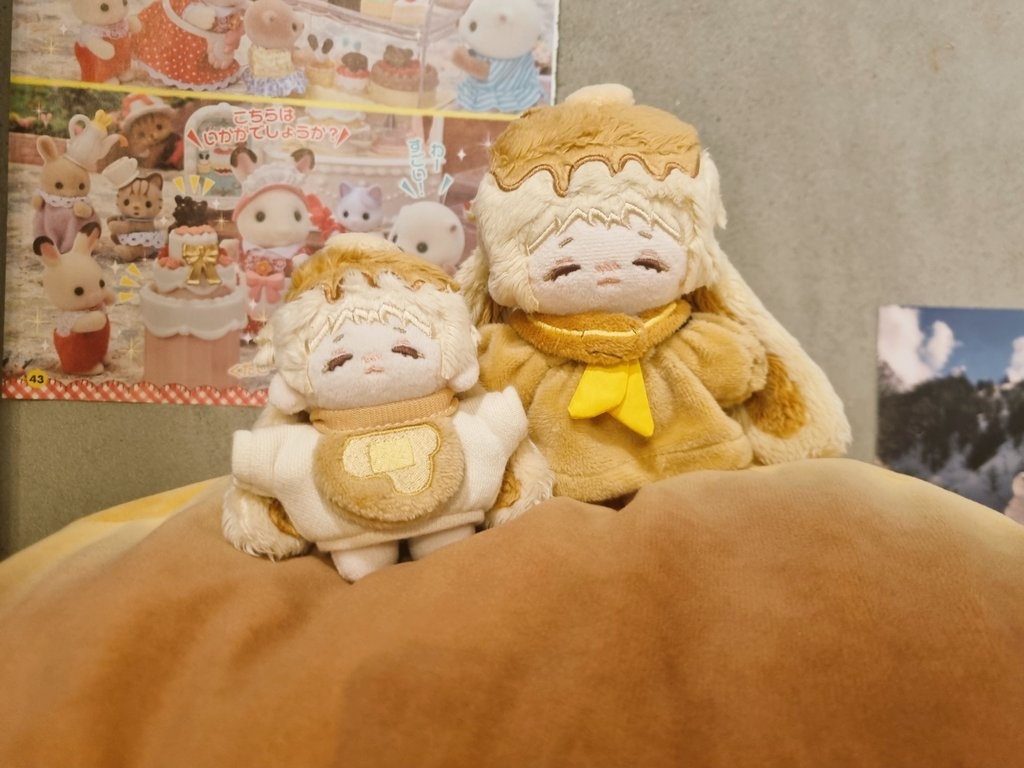 코튼플래닛 tweet media