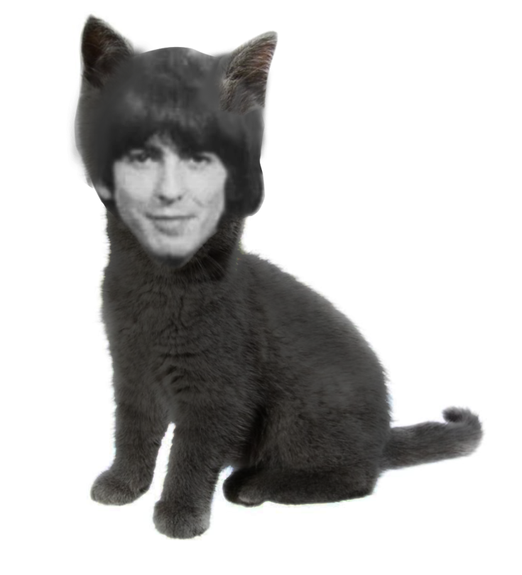 john🪲 tweet media