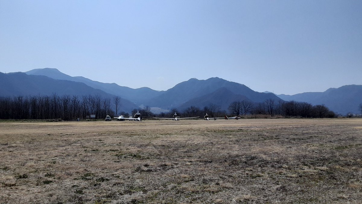 そらのムタ tweet media