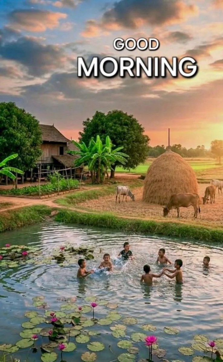 🦋 ആ ഒരാൾ 🦋 tweet media