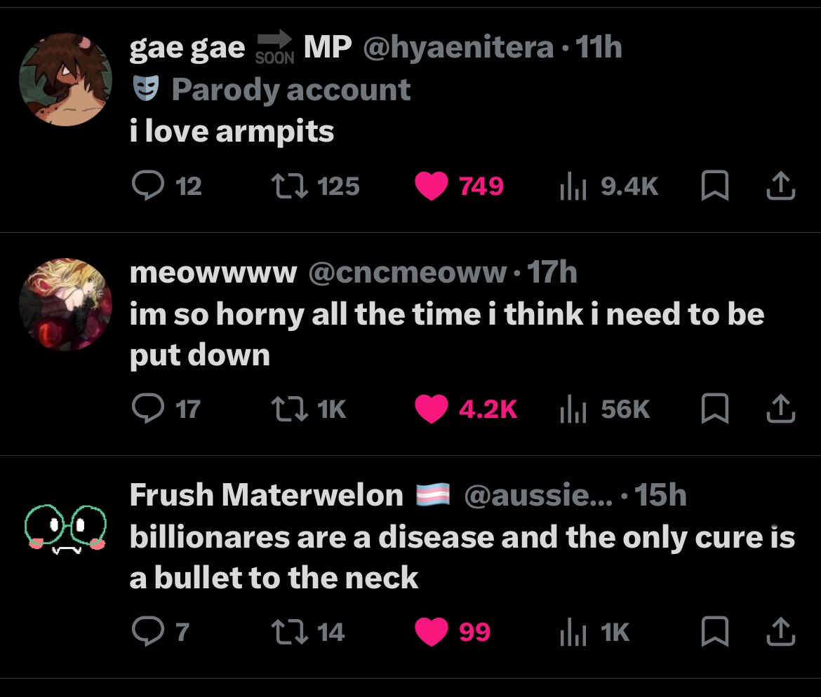p4ncoon (@p4ncoon) / Posts / X