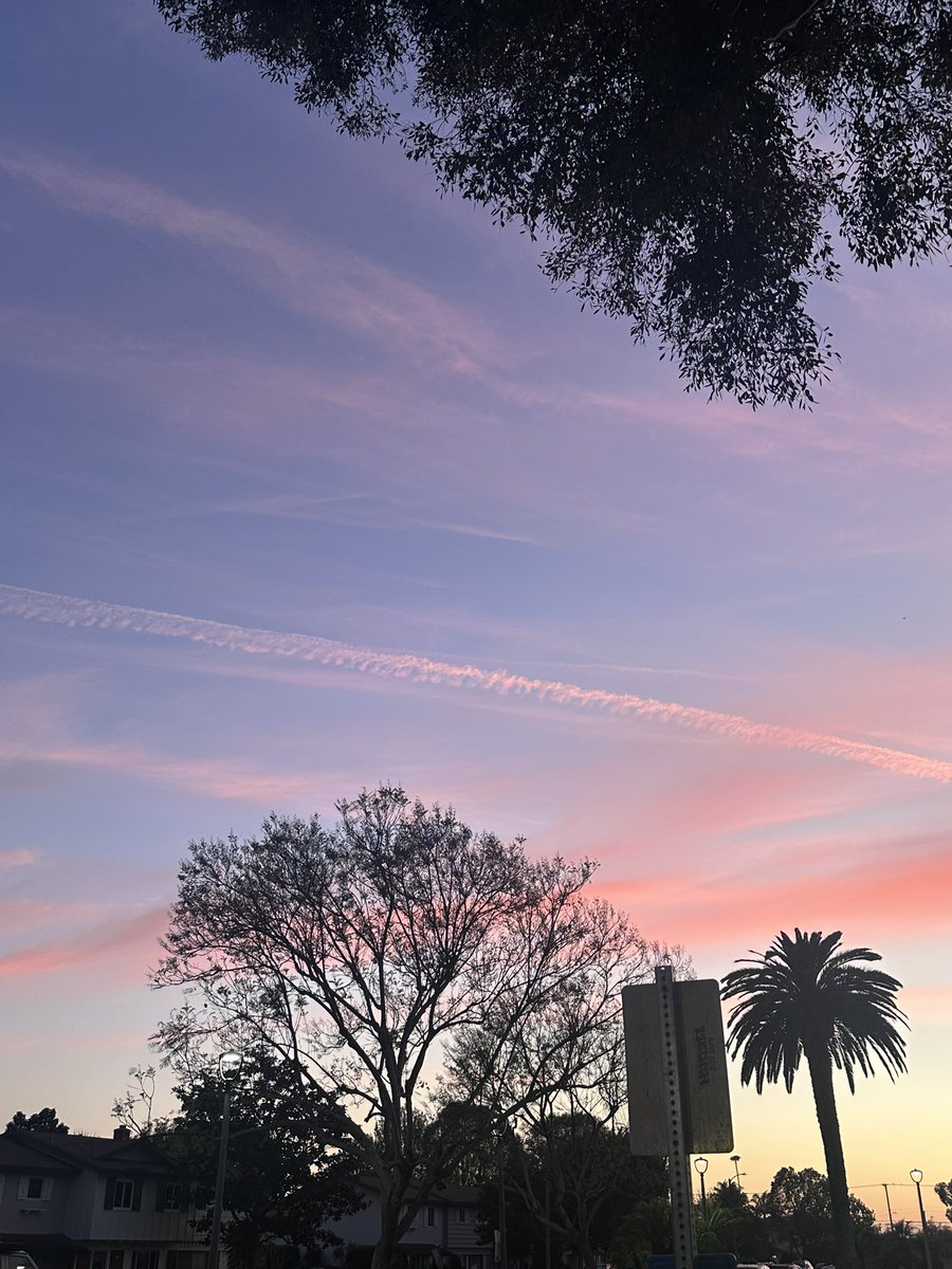NKaravedas's tweet image. After dinner walk....Back in HB 😎🙌🏽🧡💗🌴 #Steps #MovementIsMedicine