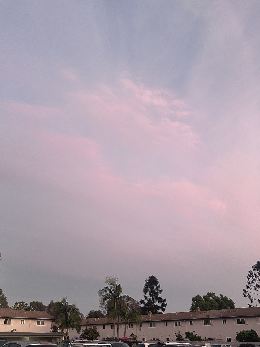 NKaravedas's tweet image. After dinner walk....Back in HB 😎🙌🏽🧡💗🌴 #Steps #MovementIsMedicine