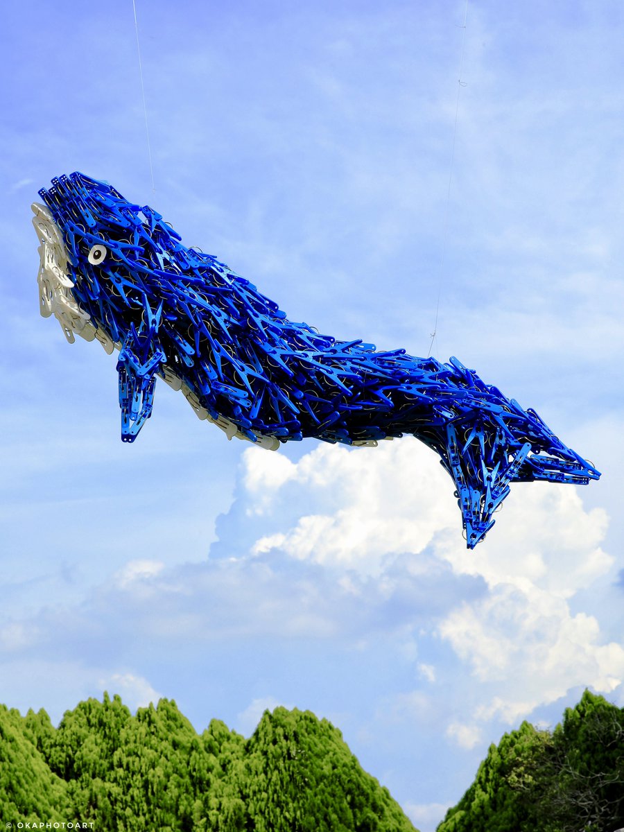 洗濯バサミフォトグラファー・岡本なう tweet media