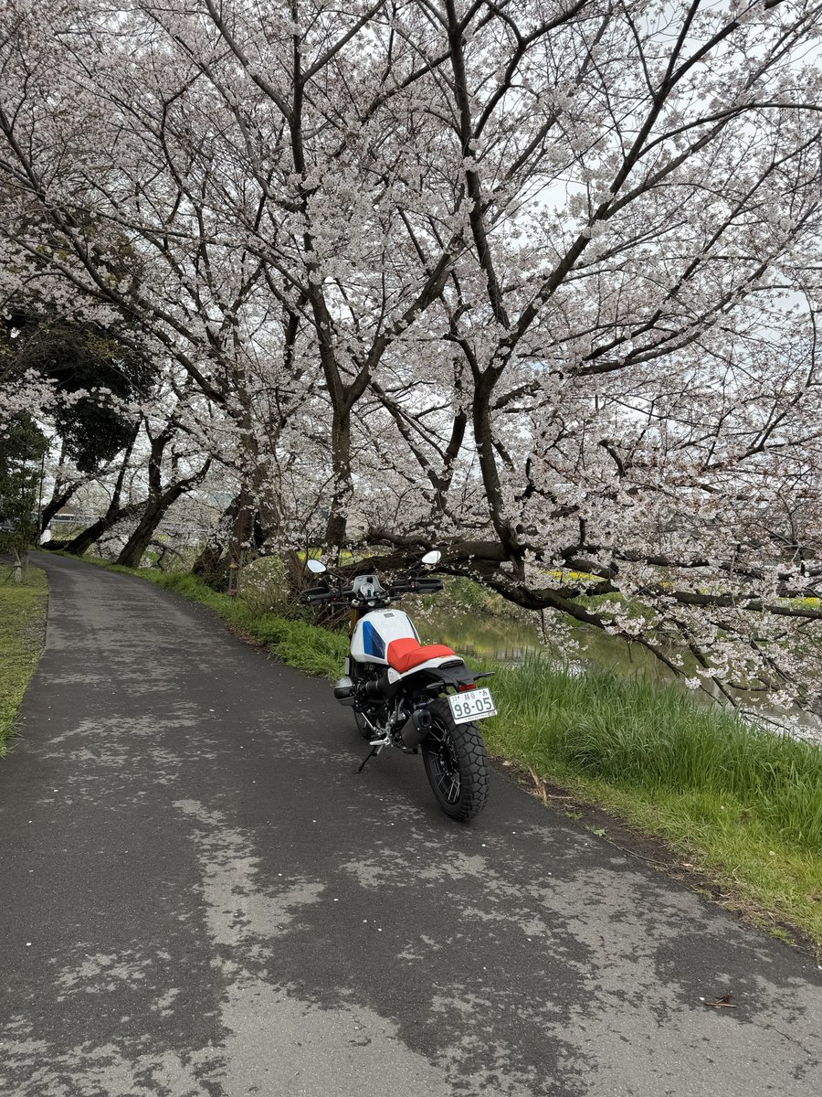 M.S.C.Hara /(株)原サイクル/(Motorrad Koshigaya) tweet media