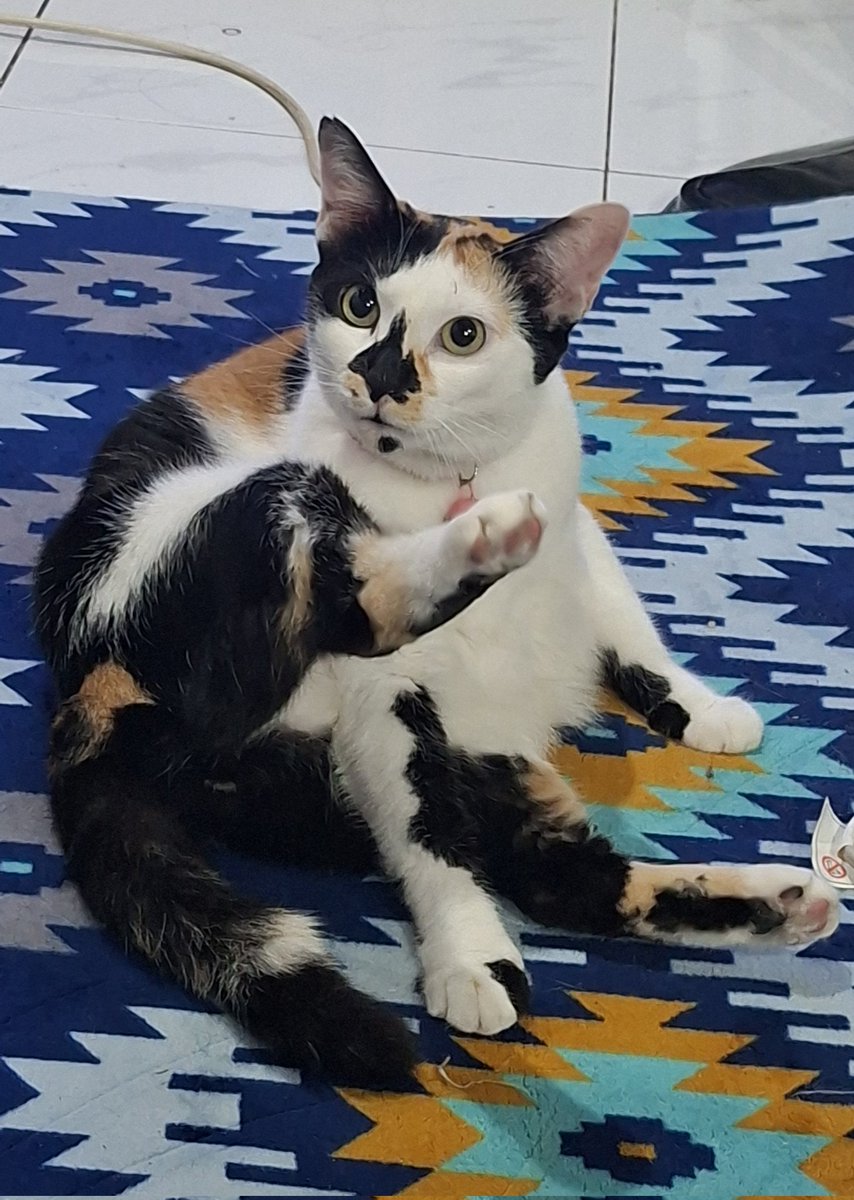 dd moyn😗😠nattaca👻🐴 tweet media