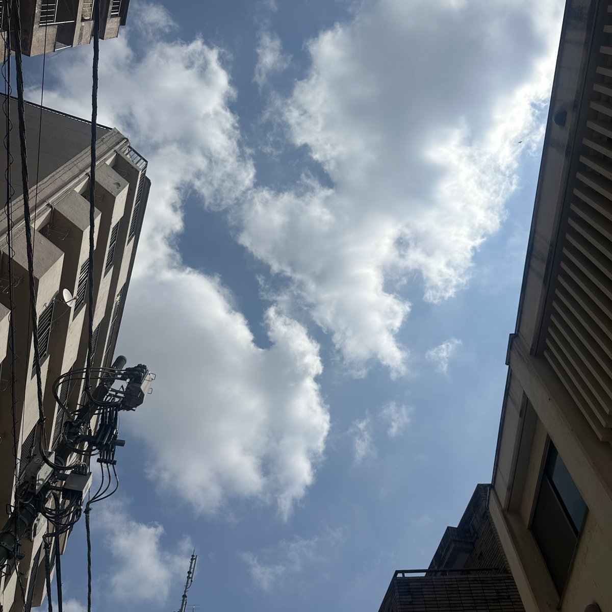 げーぶ tweet media