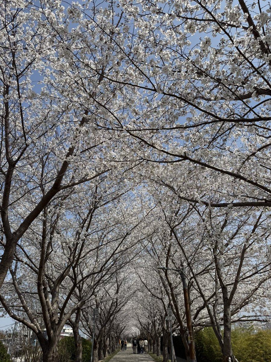 청량겨울몬💎 tweet media