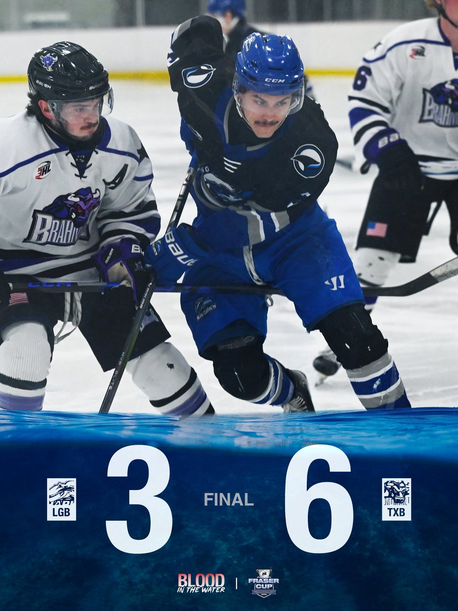 Long Beach Sharks tweet media