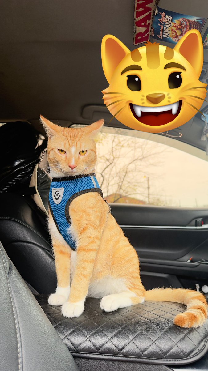 احمد ♡♪ tweet media