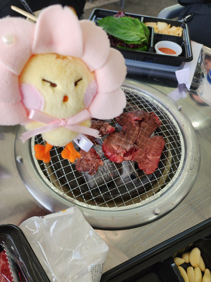 메르메르 tweet media