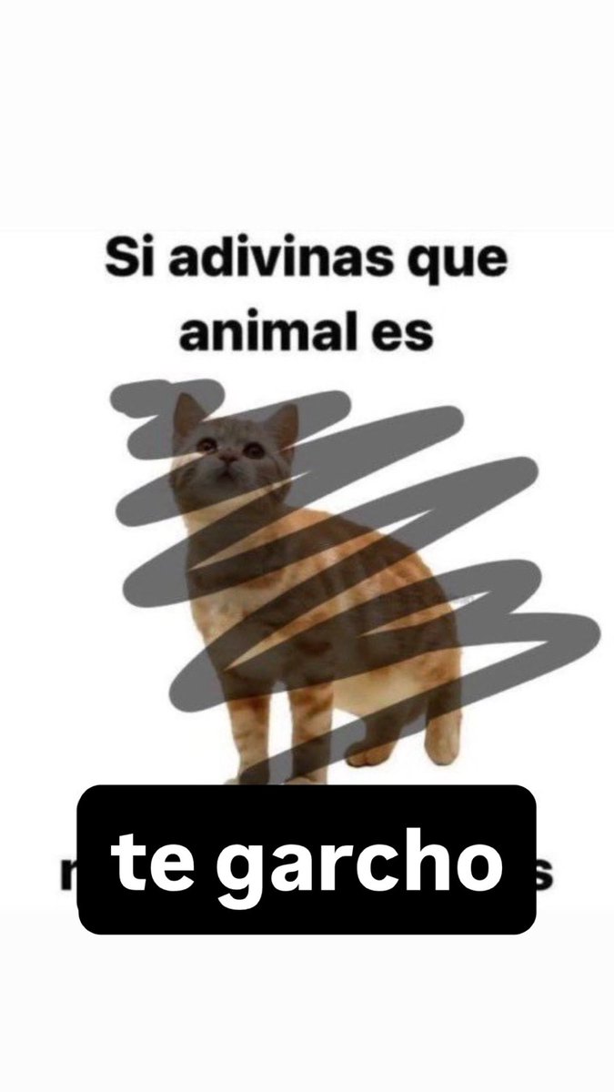 SAPARDO DEDEANDO A POLENTELME EN MADRID tweet media