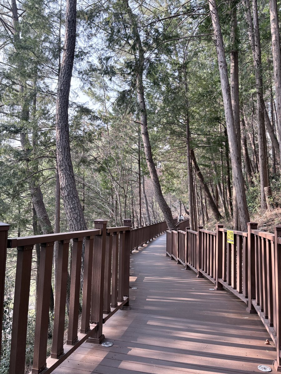 진주 좋구나 
아직 저 가게가 있다는게 너무 신기하고 반갑더라 
근데 가게가 주시장 길이 아니라 찾기가 어려움