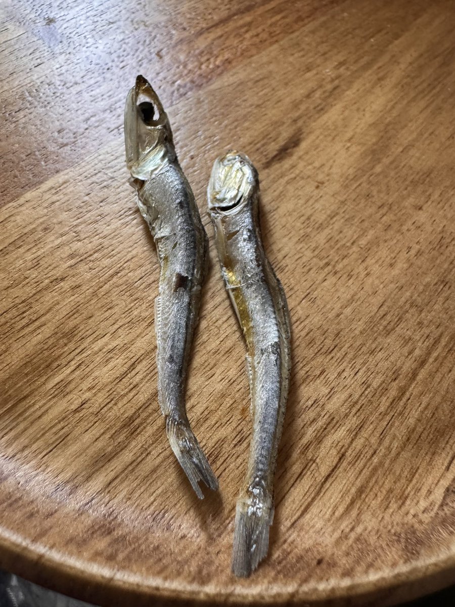 石肉 🅄🅂🄱 tweet media