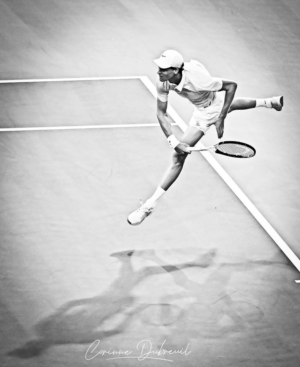 jannik sinner files tweet media