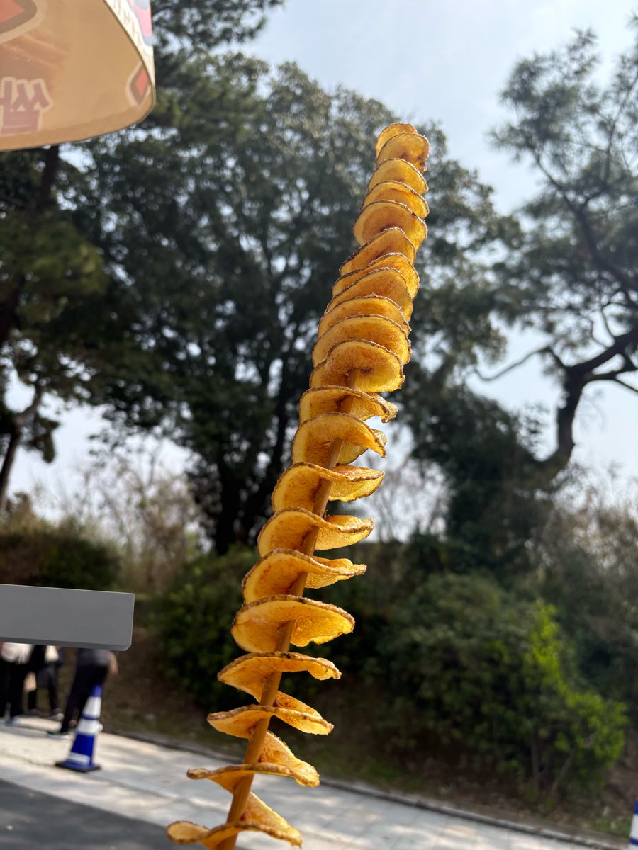 B介🦖 tweet media