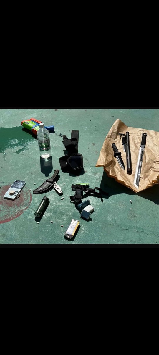 alexisrodriguez1116 tweet media