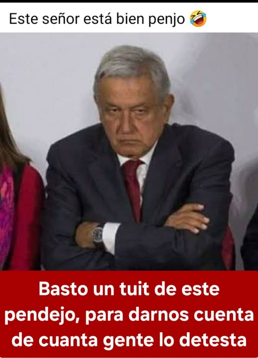 constanza luna tweet media