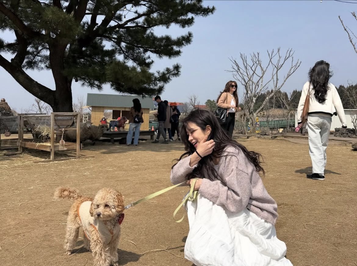 박새힘 아카이브 tweet media