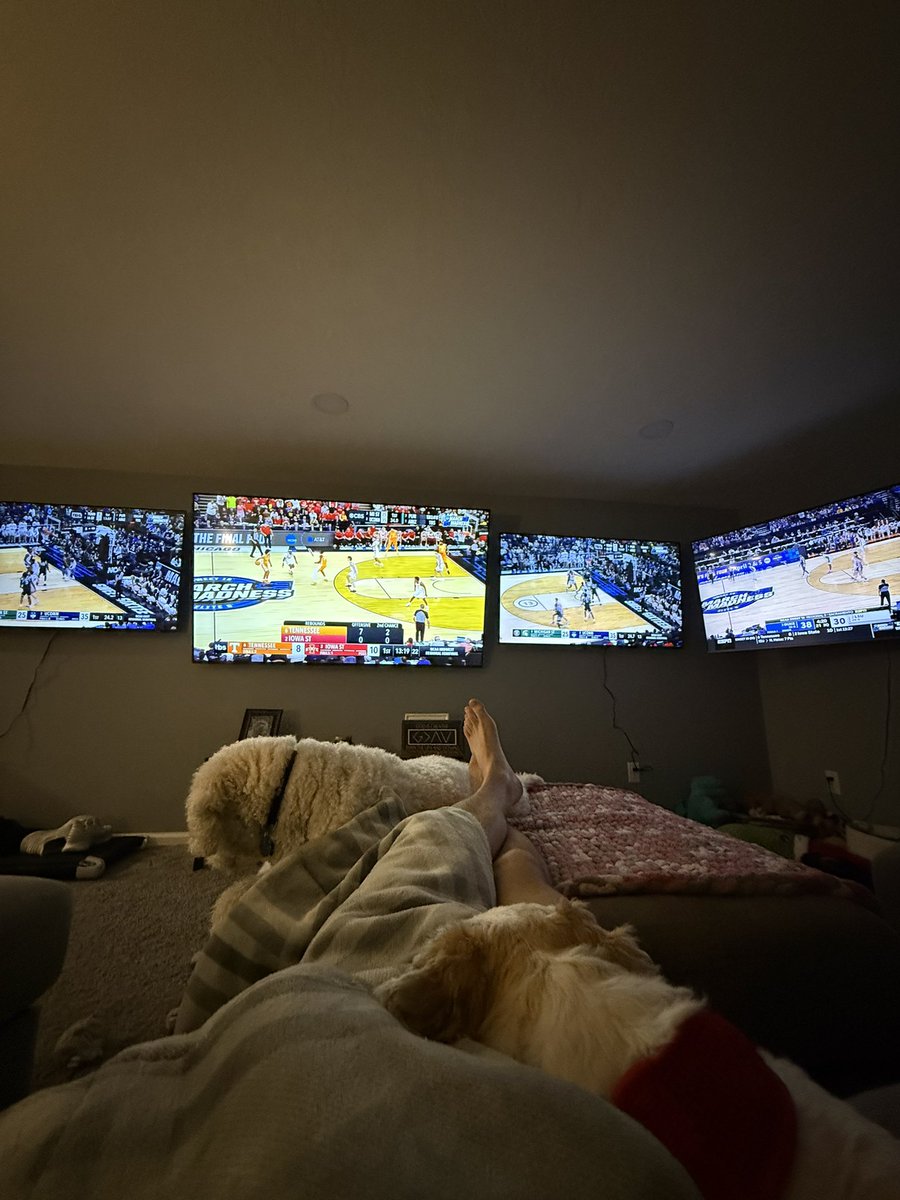 biev🦫 tweet media