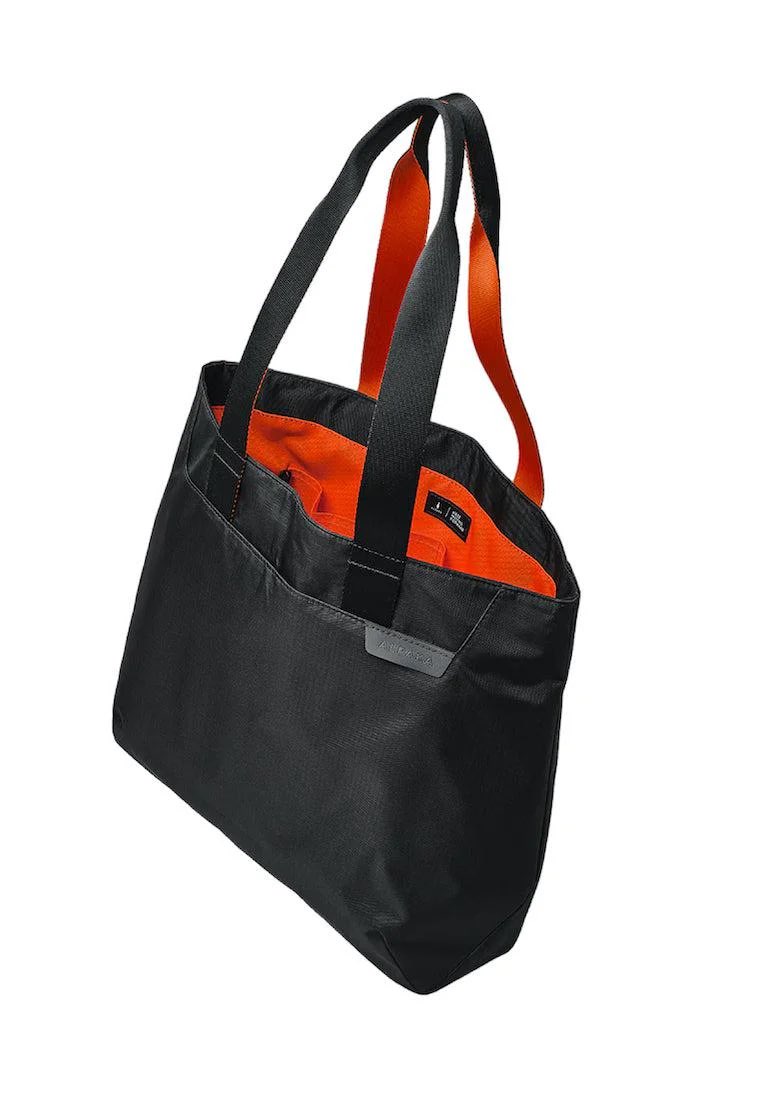 EclipseWanderer tweet media