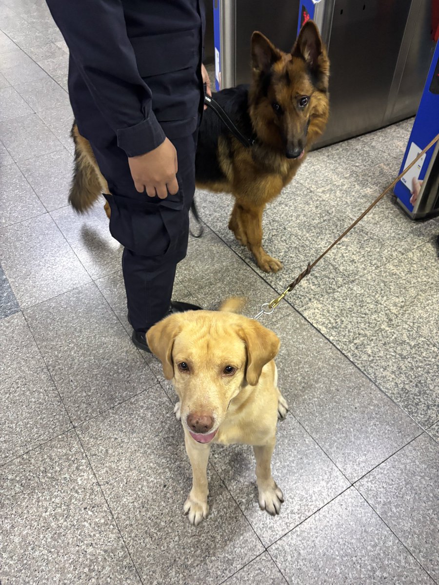 ° turtursketchy | Q06 #งานหนังสือ2569 🐈 tweet media