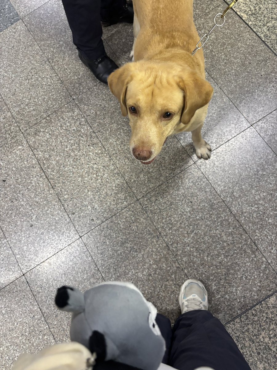 ° turtursketchy | Q06 #งานหนังสือ2569 🐈 tweet media