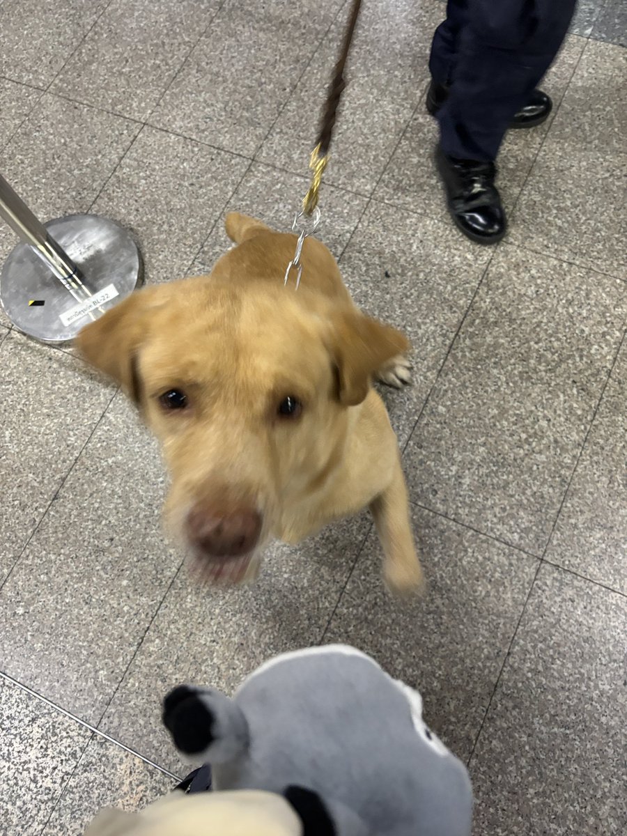 ° turtursketchy | Q06 #งานหนังสือ2569 🐈 tweet media