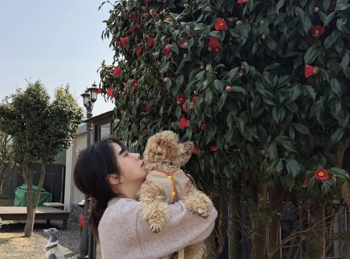 박새힘 아카이브 tweet media