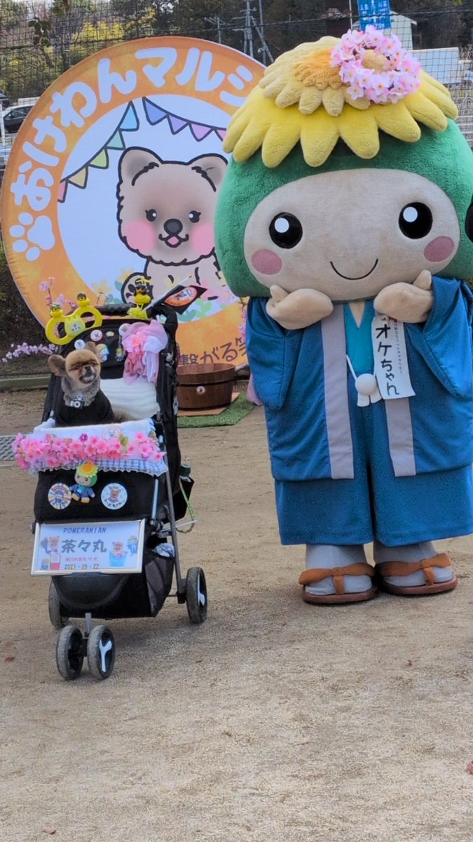 小悪魔なソラ・パパ tweet media