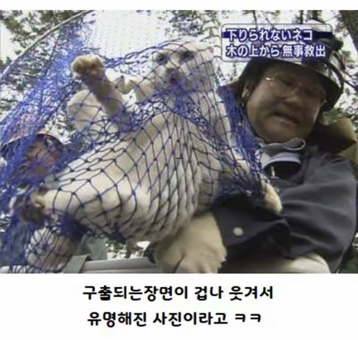 돌아온지지 tweet media