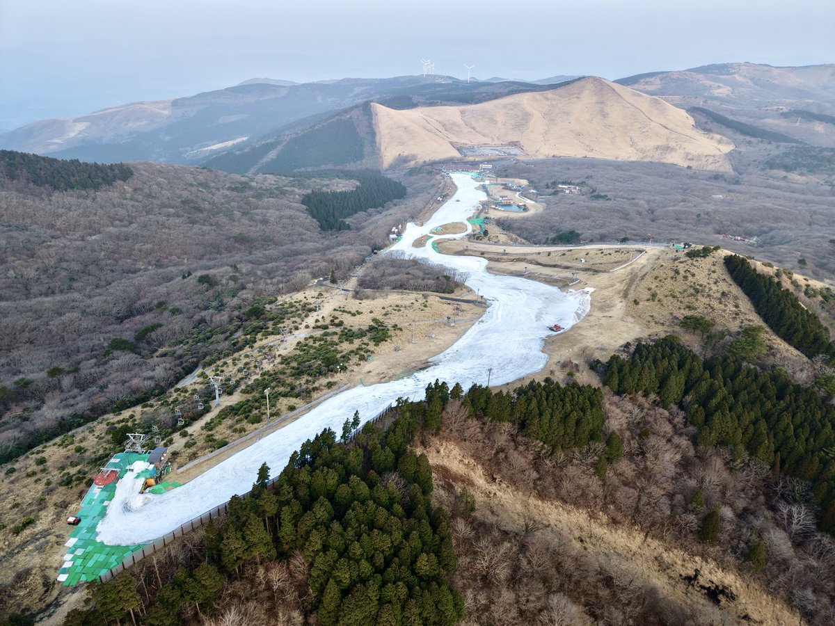 くじゅうスキー場【公式】 tweet media