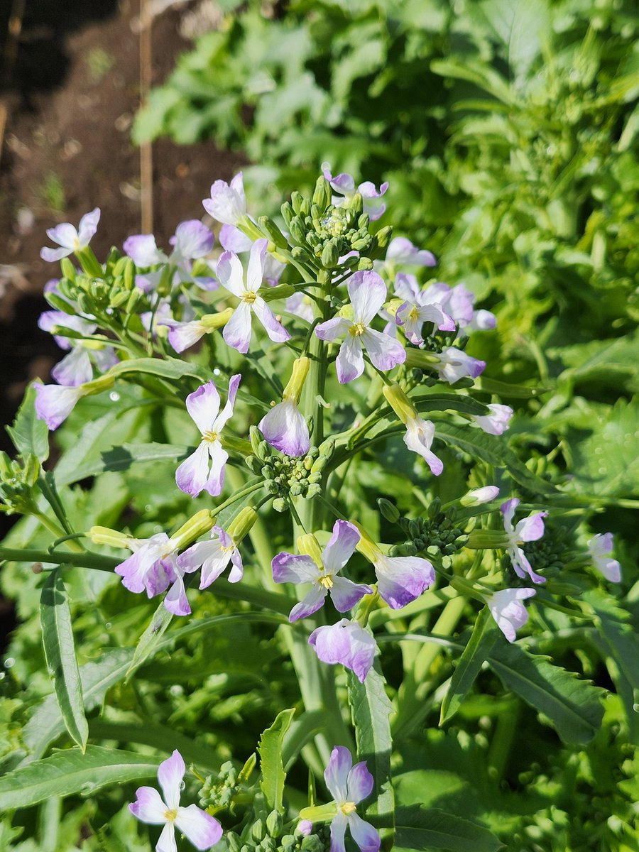 るんりん tweet media