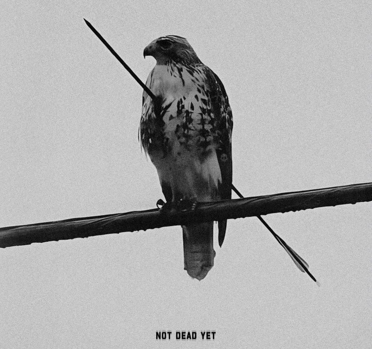 Peach - CPT tweet media