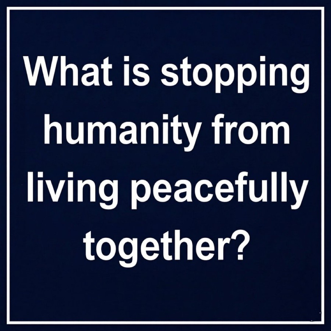 Noah’s Ark 🚢 tweet media