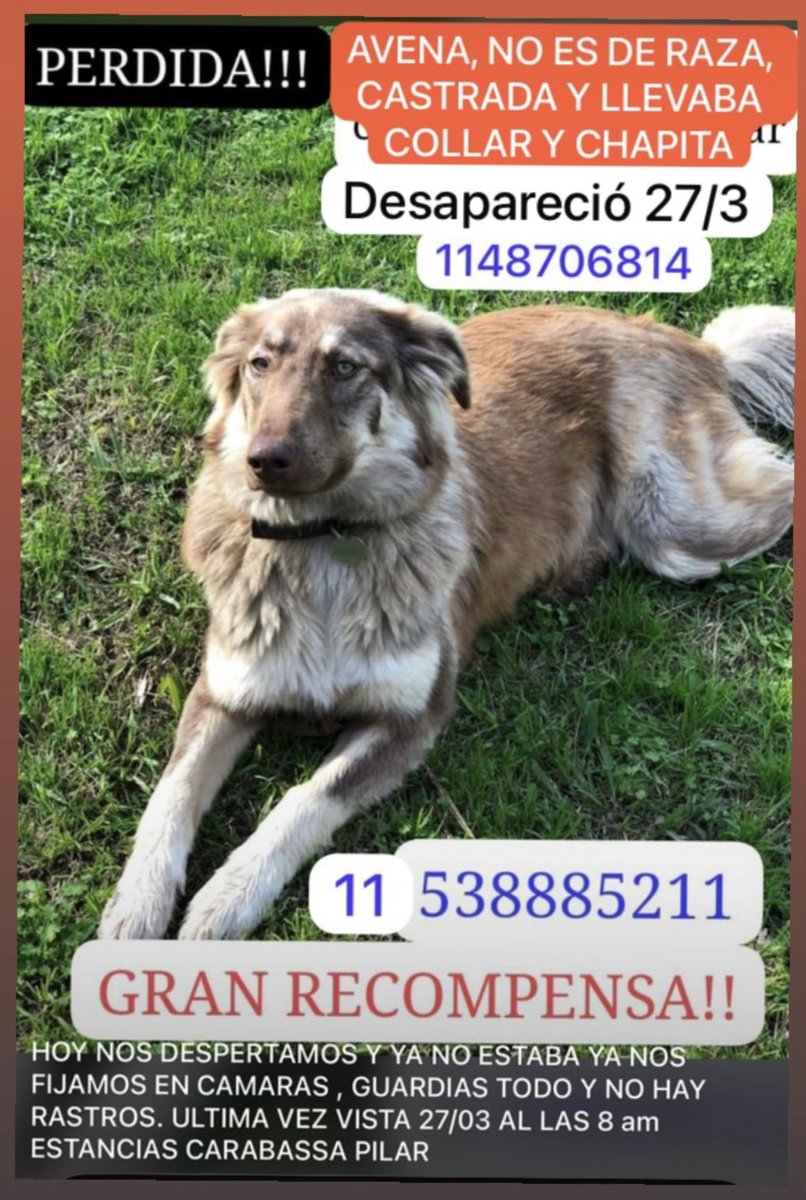 Agus 🇦🇷 tweet media