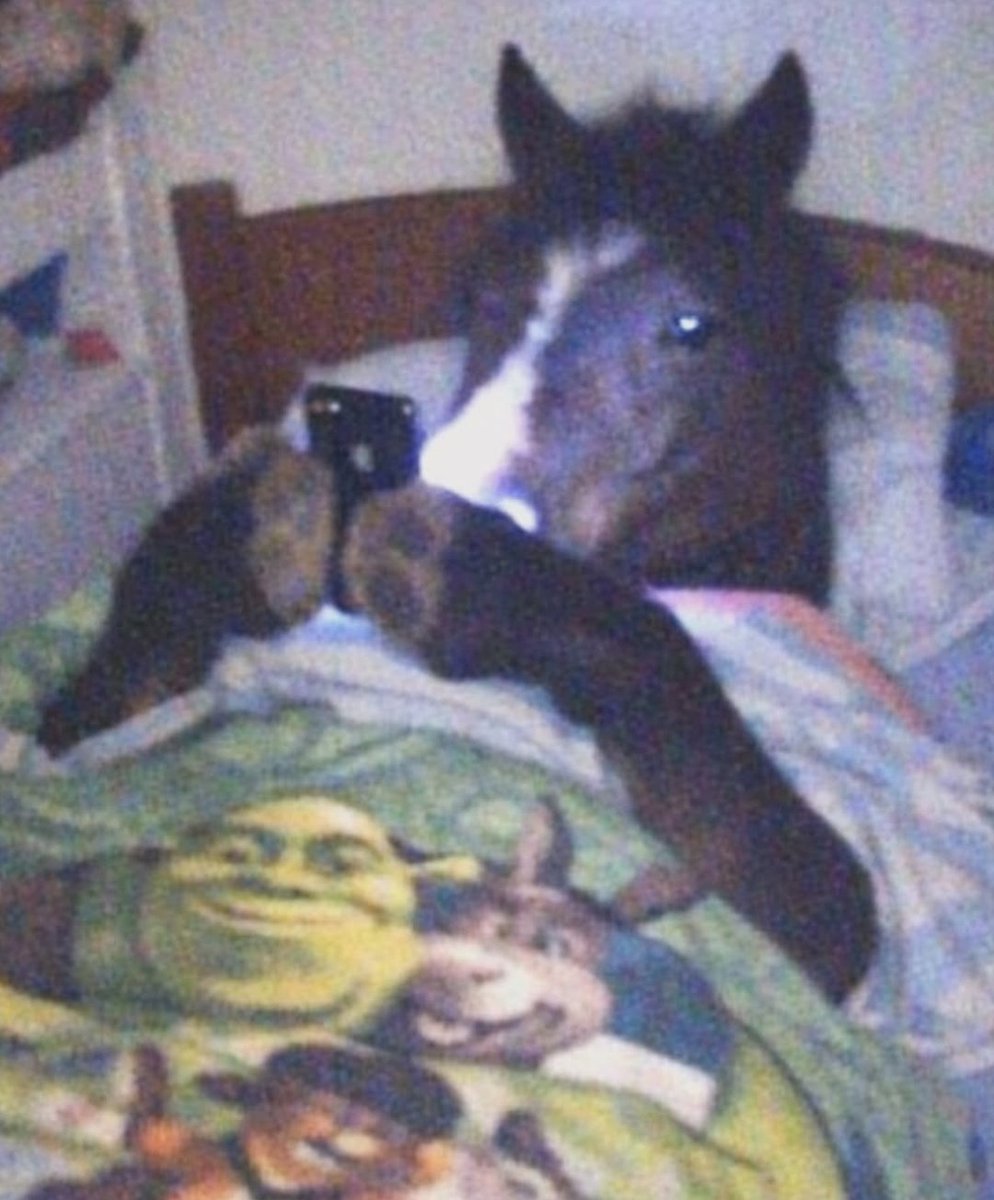 ~𝕃𝕦 tweet media