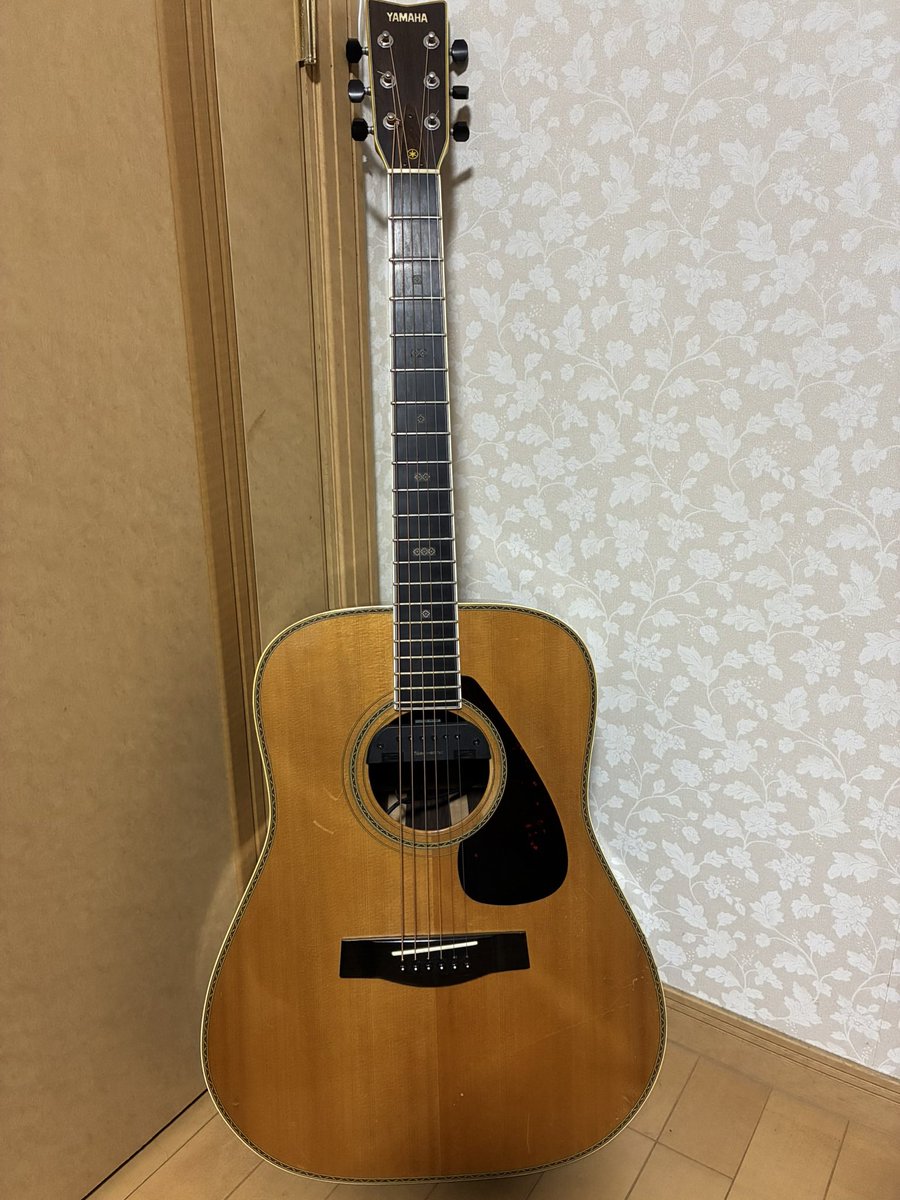 たけ♪ tweet media