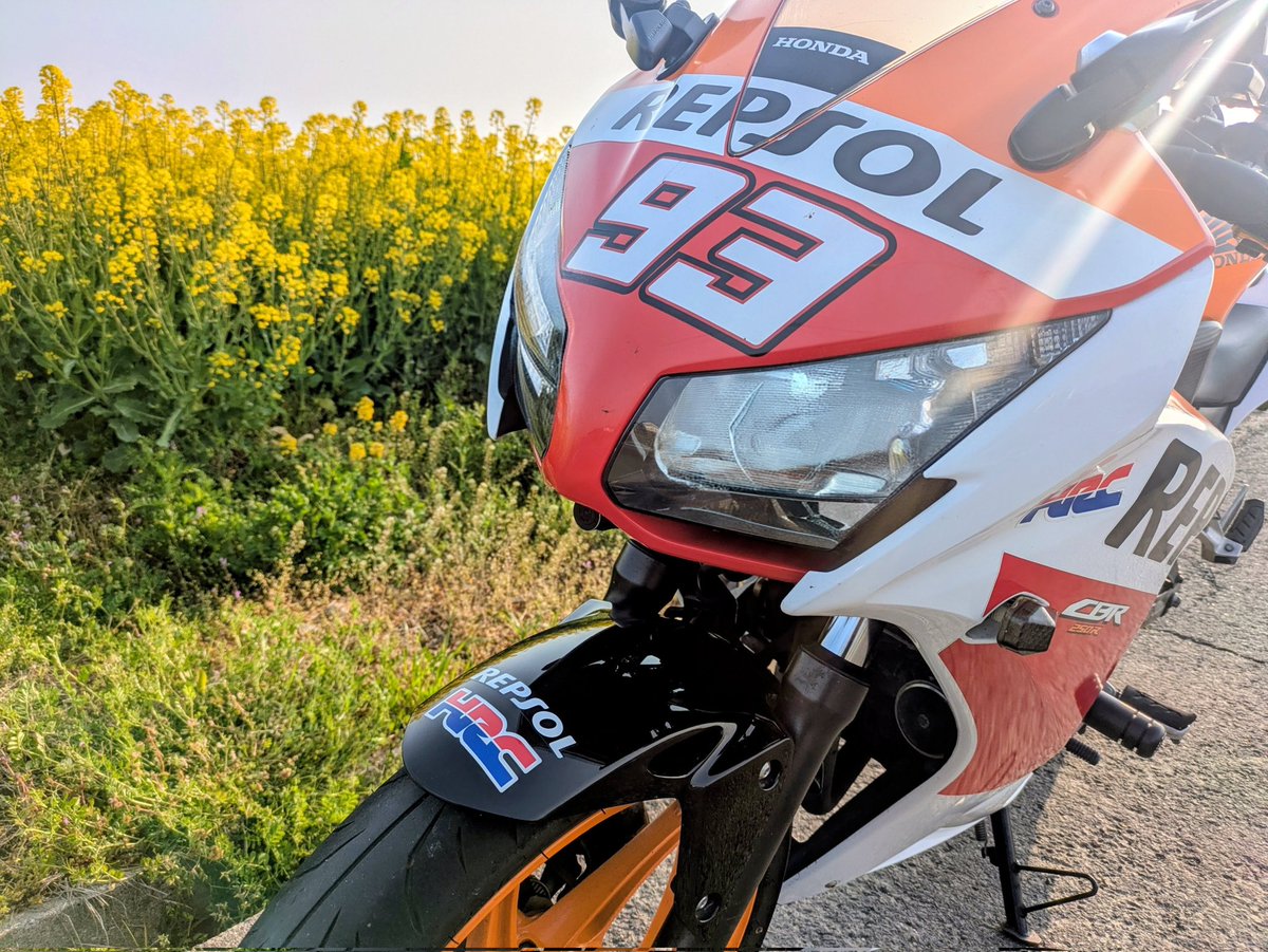 なっちゃん‎‎🌻 tweet media