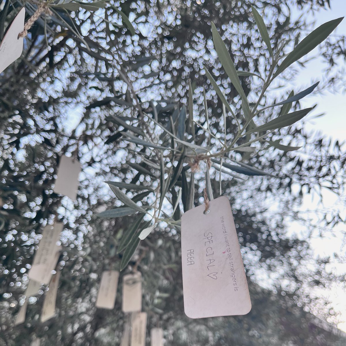 วาโฌ tweet media