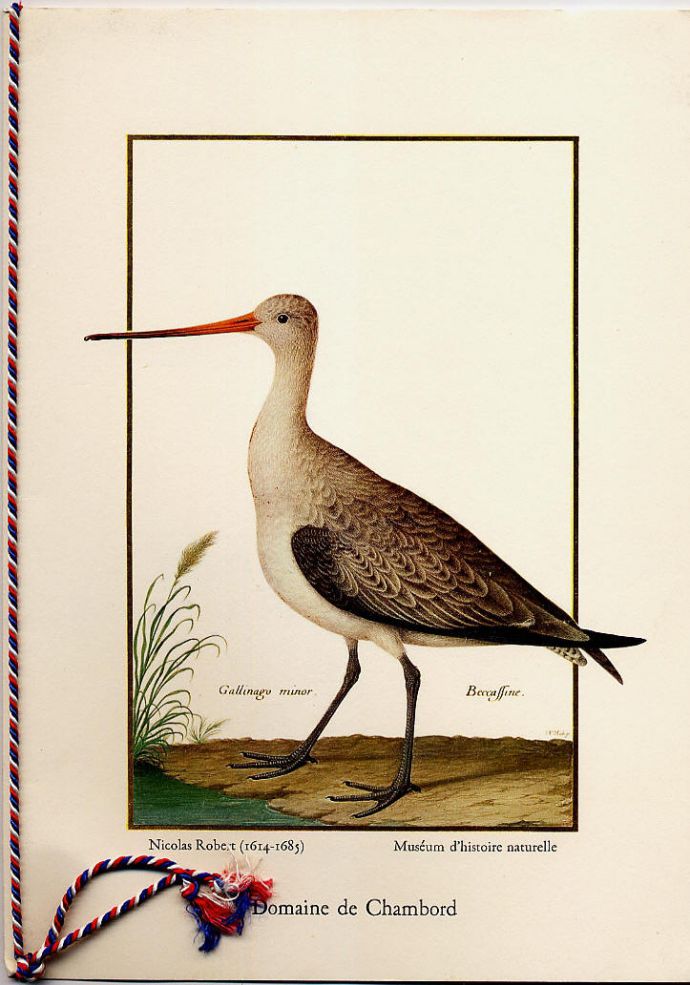 Menustory tweet media