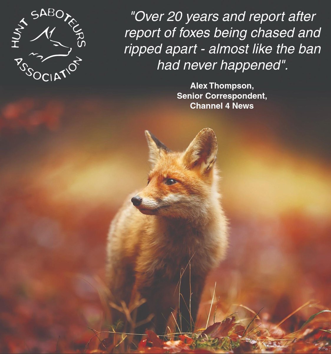 Hunt Saboteurs Association tweet media